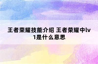 王者荣耀技能介绍 王者荣耀中lv1是什么意思